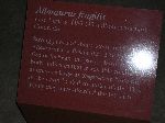 041_2009-0119-1129-42.jpg